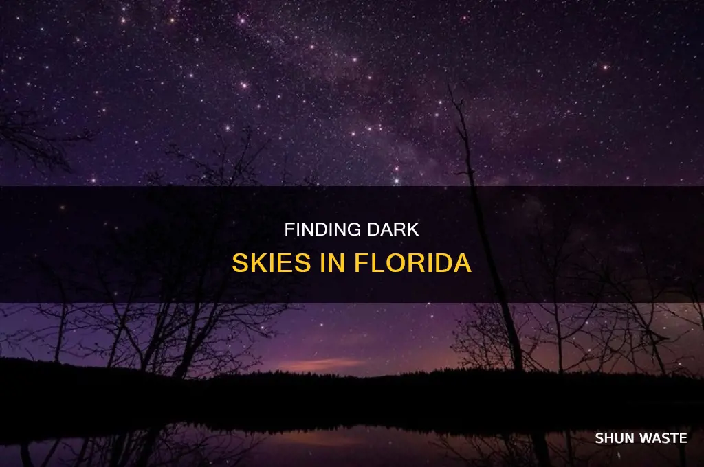 where in florida is there no light pollution