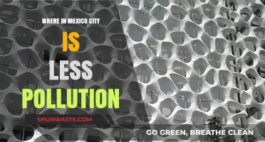 Breathe Easy: Mexico City's Cleanest Areas