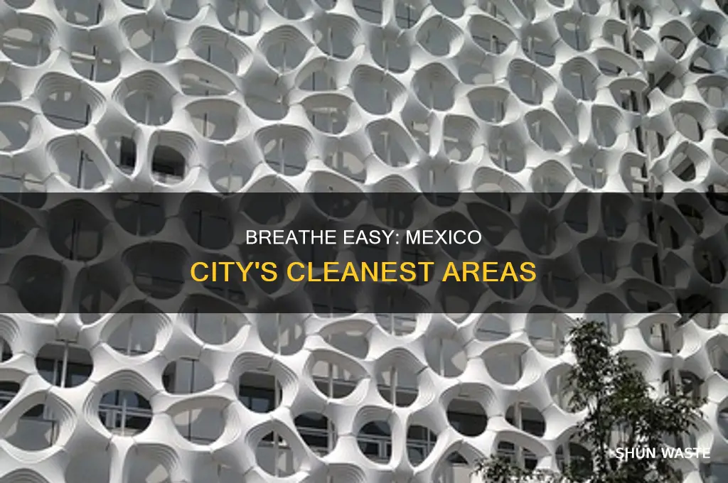 where in mexico city is less pollution