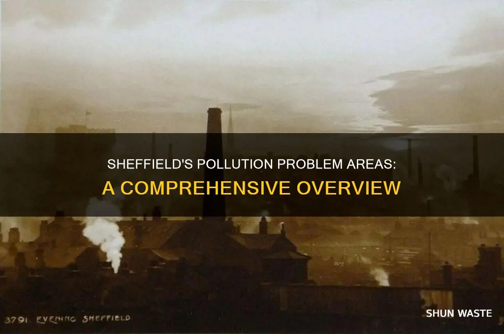 where in sheffield is atmospheric pollution a problem