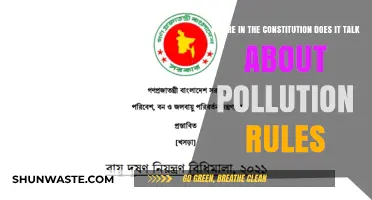 Constitution and Pollution Rules: Where's the Connection?