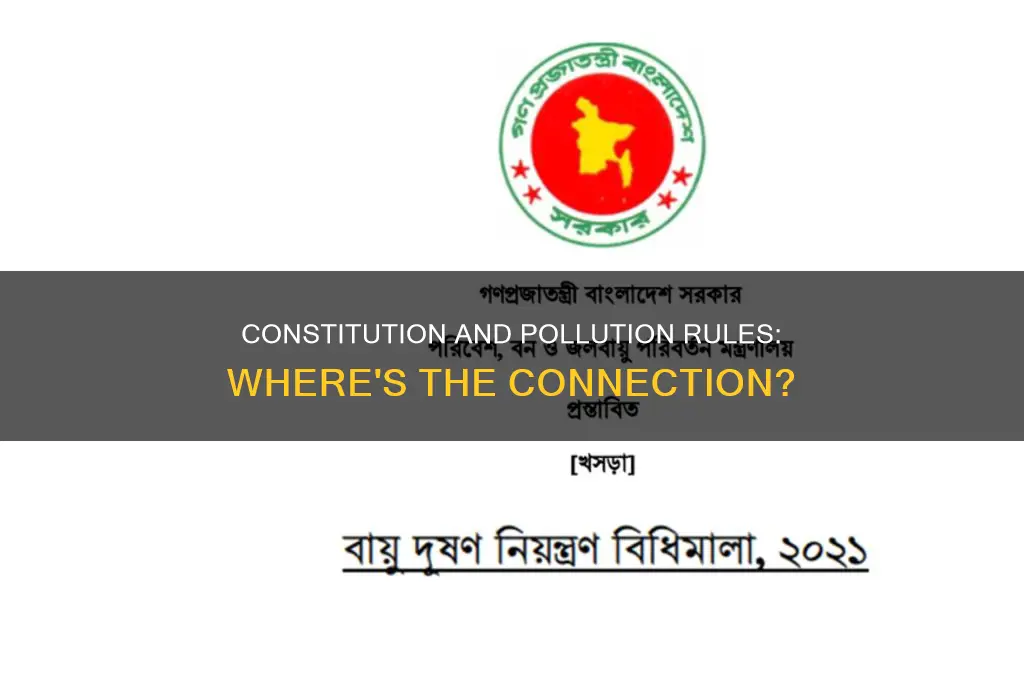 where in the constitution does it talk about pollution rules