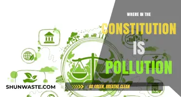 Constitution's Pollution Problem: Where's the Solution?