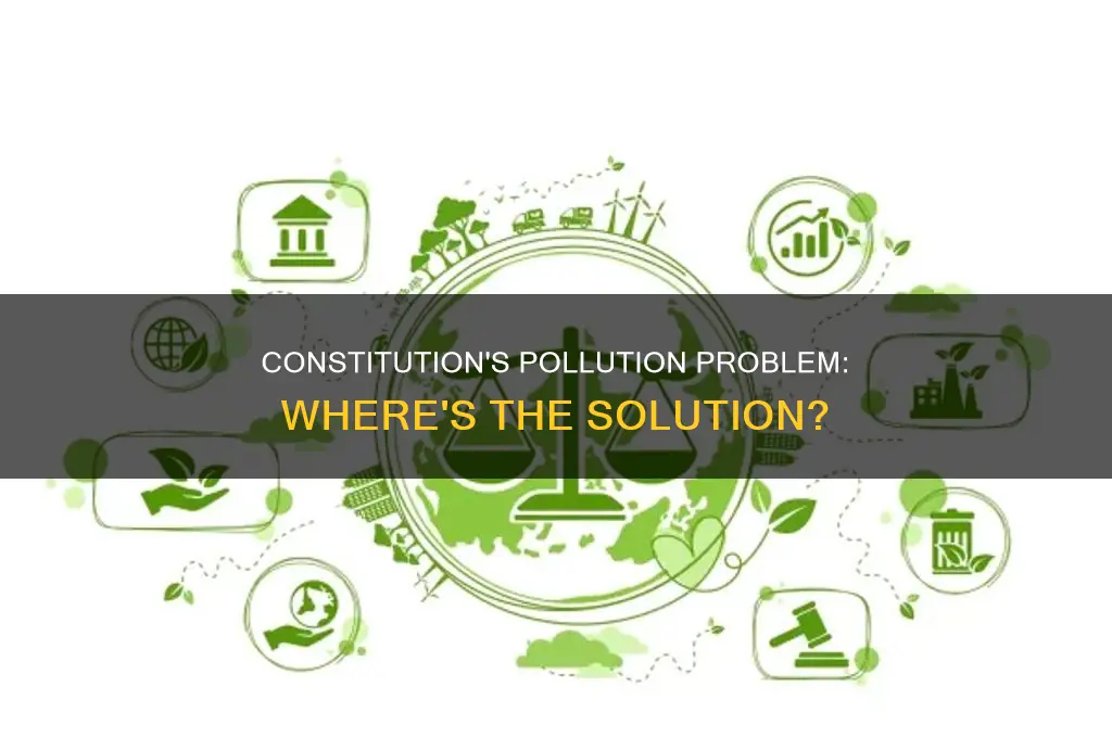 where in the constitution is pollution