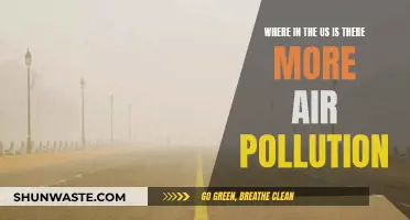Air Pollution: Where in the US is it Worse?