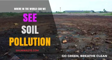 Soil Pollution: A Global Concern: Where It's Hiding