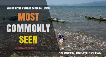 Ocean Pollution: Where Are Our Seas Most Toxic?