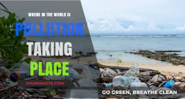Pollution's Global Reach: A Comprehensive Overview
