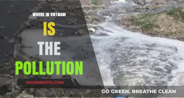 Vietnam's Pollution Problem: Where is it Worst?
