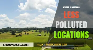 Virginia's Cleanest Locations: Where to Find Them