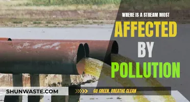 Stream Pollution: Where Does It Hurt the Most?