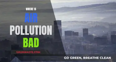 Air Pollution's Worst Offenders: A Global Concern