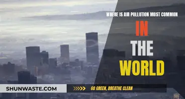 Air Pollution: Where is it Worst?