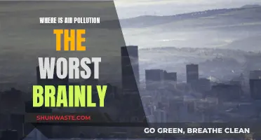 Air Pollution's Worst Offenders: A Global Crisis