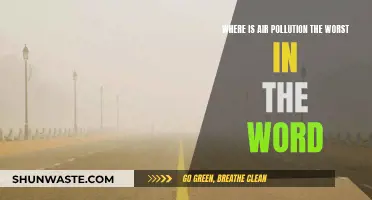 Air Pollution: The World's Worst Places