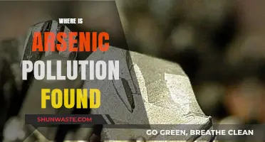 Arsenic Pollution: A Global Health Crisis