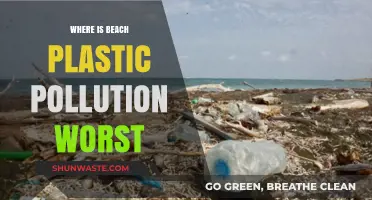 Beach Plastic Pollution: Where is it Worst?
