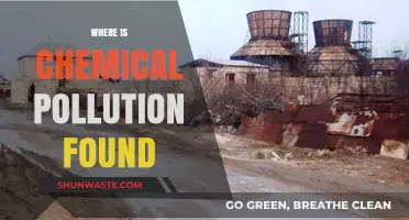 Chemical Pollution: Where is it Found?