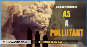 CO2: Pollutant or Necessary Evil?