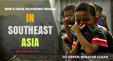 Coastal Pollution's Worst Hotspots in Southeast Asia