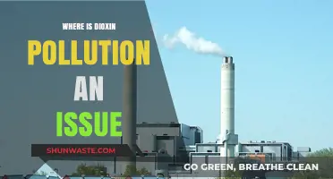 Dioxin Pollution: A Global Issue?