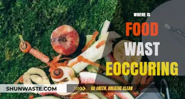 Uncovering the Hidden Crisis: Where Food Waste Occurs