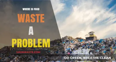 Global Food Waste Crisis: Where Surplus Meets Scarcity