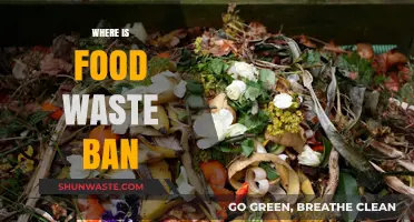 Exploring the Global Landscape of Food Waste Bans: A Comprehensive Guide