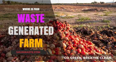 From Farm to Table: Understanding Food Waste Generation