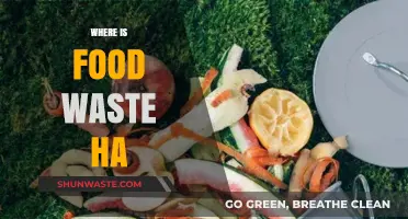 Unveiling the Hidden Impact: Food Waste in Our Communities