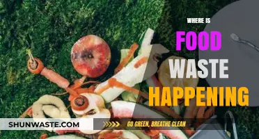 Uncovering the Hidden Crisis: Where Food Waste Lurks