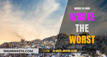 Global Food Waste Crisis: Identifying the Countries with the Highest Waste