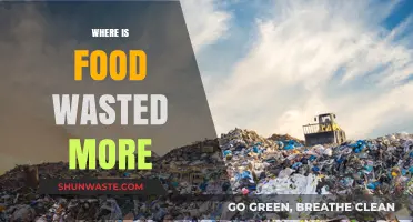 Where Food Goes to Waste: A Global Perspective on Food Waste