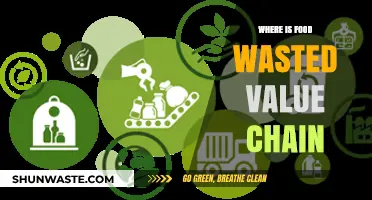 Unveiling the Hidden Losses: Food Waste Across the Value Chain