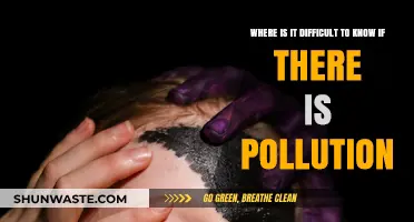 Detecting Pollution: What's Hiding in Plain Sight?
