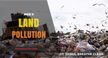 Land Pollution: A Global Crisis