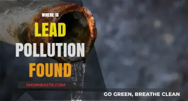 Sources of Lead Pollution: Where is it Found?