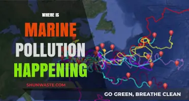 Marine Pollution: A Global Crisis