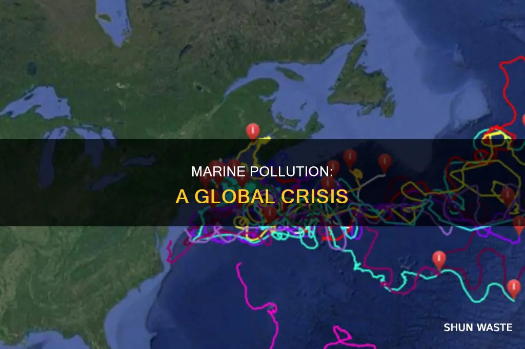 where is marine pollution happening