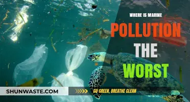 Marine Pollution's Worst Offenders: A Global Crisis