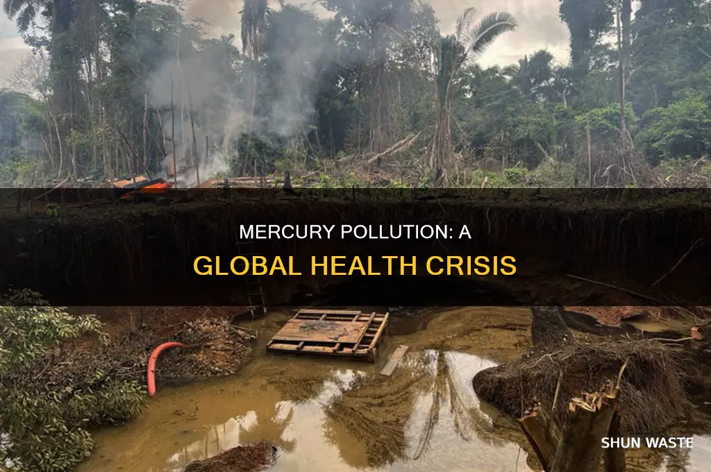 where is mercury pollution a problem