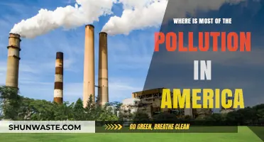 America's Pollution Hotspots: Where's the Worst?