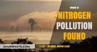 Nitrogen Pollution: Where Is It Found?