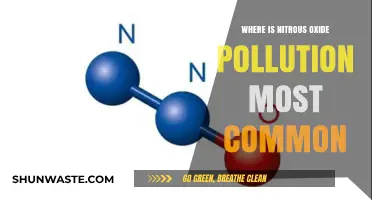 Nitrous Oxide Pollution: Where Is It Most Prevalent?