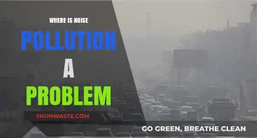 Noise Pollution: A Global Problem