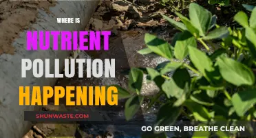 Nutrient Pollution: A Global Crisis