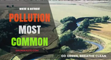 Nutrient Pollution: Where Does It Occur Most Often?