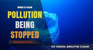 Ocean Pollution: Where is the Tide Turning?