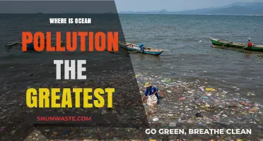 Ocean Pollution: Where is the Greatest Risk?