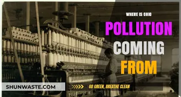 Ohio's Pollution: What's the Main Source?